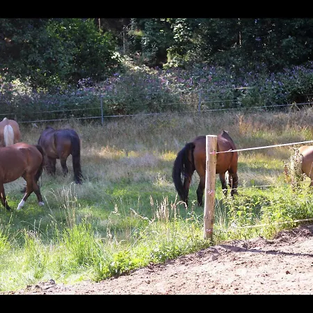 Farm stay Reiterhof Finkenmuhle Fewo Balou